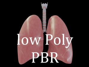 human lungs Model 3D