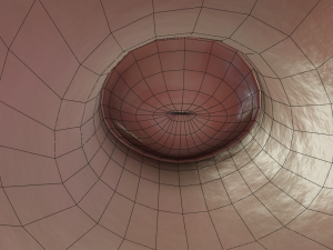female reproductive system Modelo 3D