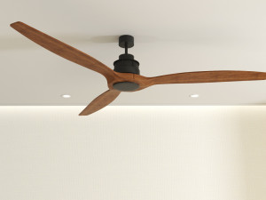 akmani fan 3D मॉडल