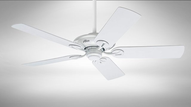 hunter maribel fan 3D Model .c4d .max .obj .3ds .fbx .stl .blend 