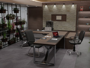 ceo office Model 3D