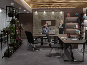 ceo office Model 3D