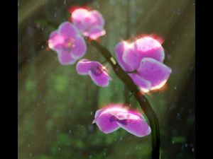 orchid 3D Model