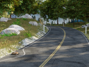 pace of life 3D Model