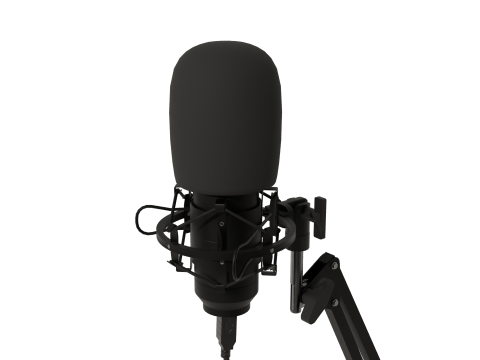 Studio Microphone 3D Model
