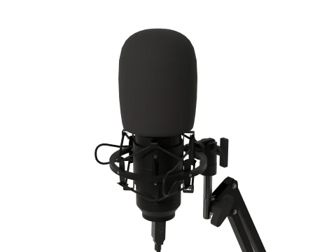 Studio Microphone 3D Model