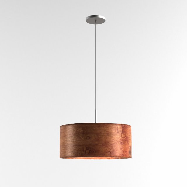 ceiling light 01 Modelo 3D .c4d .max .obj .3ds .fbx .stl .blend 