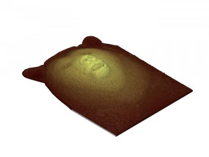 grizzly bear bas relief model 3D Print Model