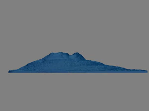 grizzly bear bas relief model 3D Print Model