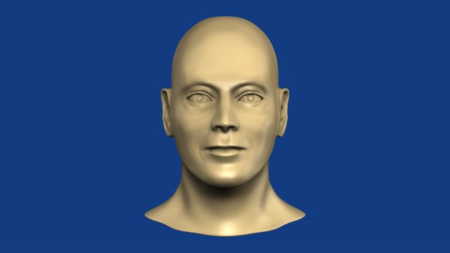 male head 3D Model .c4d .max .obj .3ds .fbx .stl .blend 
