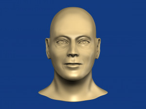male head 3Dモデル