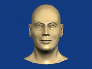 erkek kafa 3D Model