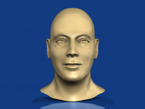 male head 3D Model