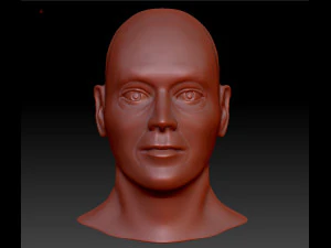 cabe&ccedil;a masculina Modelo 3D