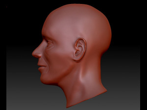 male head 3D Model