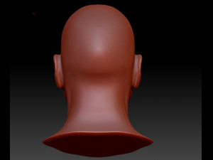 male head 3D Model
