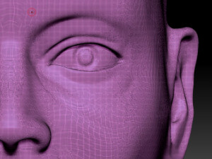 male head 3D Model