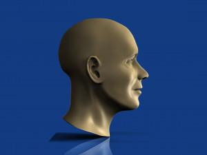 male head 3D Model