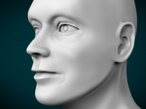 male head 3D Model