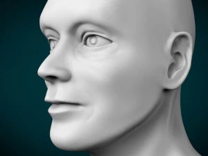 cabe&ccedil;a masculina Modelo 3D