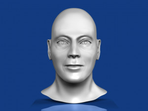 male head 3D Model