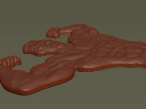 Male Bodybuilder Bas Relief 3D Print Model