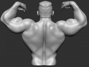 Bodybuilder Modèles 3D en vedette