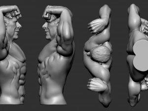 Bodybuilder 3D Print Model