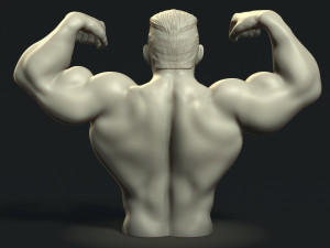 Bodybuilder Modèles 3D en vedette