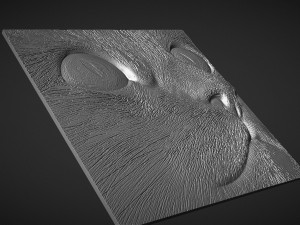 Cat head 3d tableau 3D प्रिंट मॉडल
