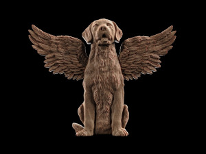 Winged Dog 3D Print Model