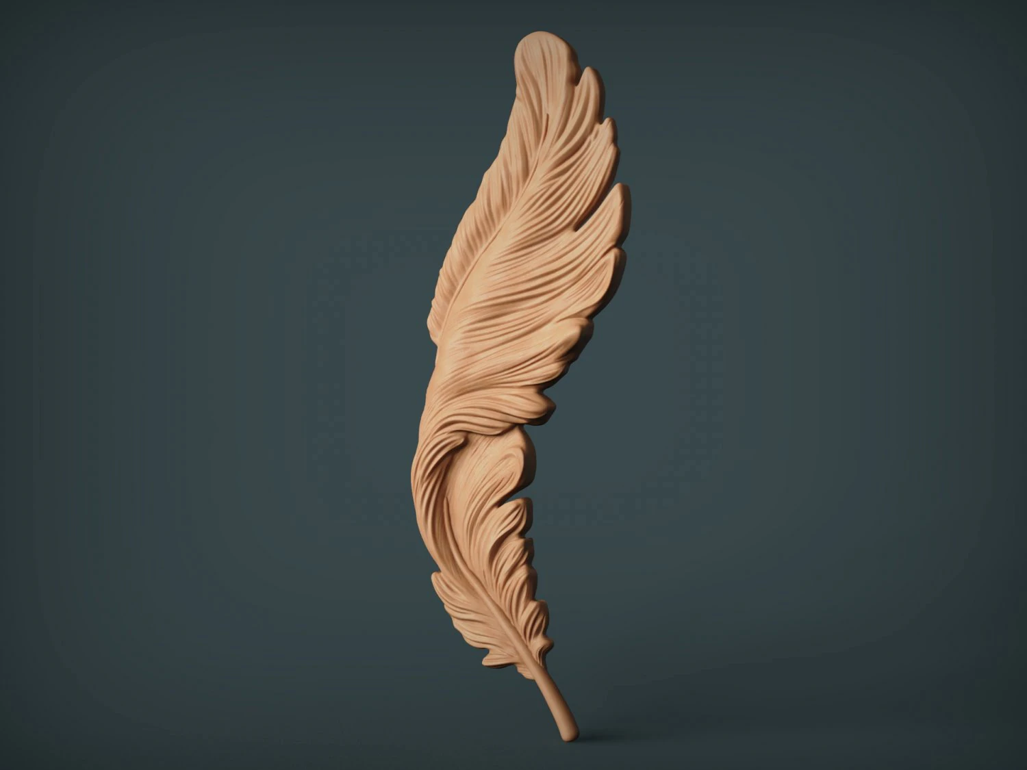 Feather Bas-Relief 3D Print Model .c4d .max .obj .3ds .fbx .stl .blend 
