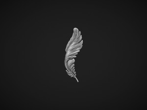 Feather Bas-Relief 3D Print Model