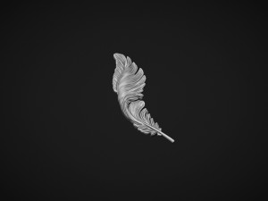 Feather Bas-Relief 3D Print Model
