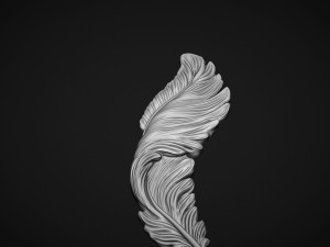 Feather Bas-Relief 3D Print Model