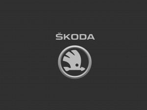 Skoda Logo 3D Принт Модель
