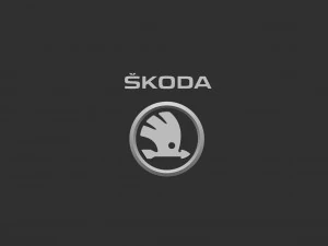 Skoda Logo Set 3D Print Model