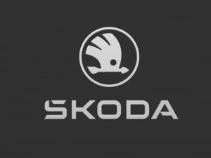 Skoda Logo Set 3D Print Model