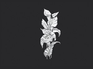 Lily flowers Model Cetak 3D