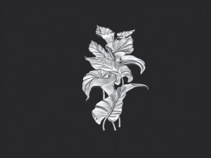 Lily flowers Model Cetak 3D