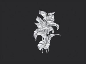 Lily flowers 3D Print Model