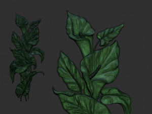 Lily flowers Model Cetak 3D