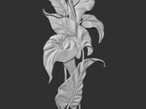 Lily flowers Model Cetak 3D