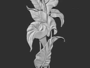Lily flowers 3D Print Model