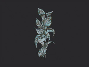 Lily flowers 3D Print Model