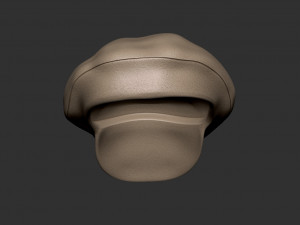 Oversized newsboy cap 3Dプリントモデル