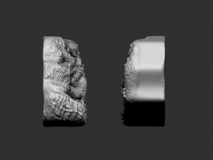 Pamukkale Turkiye Souvenir Bas Relief 3D Принт Модель