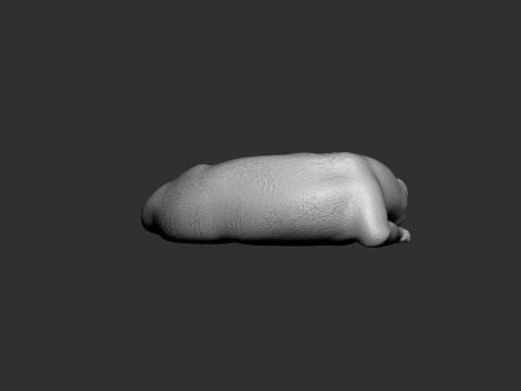 Sleeping Cat 3D Print Model