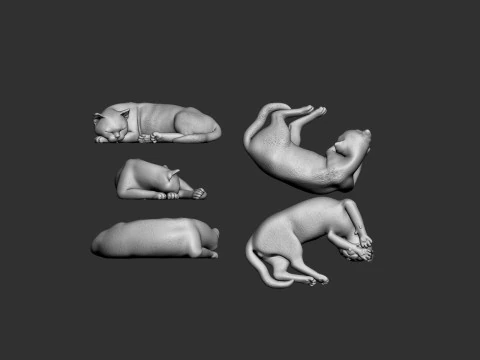Sleeping Cat 3D Print Model