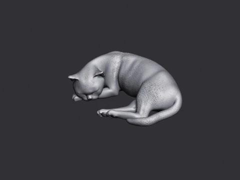 Sleeping Cat 3D Print Model
